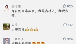 吉林头条视频爆料,揭秘XX事件背后真相